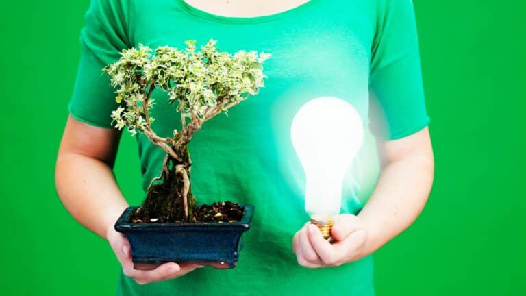 jardin eco energetique