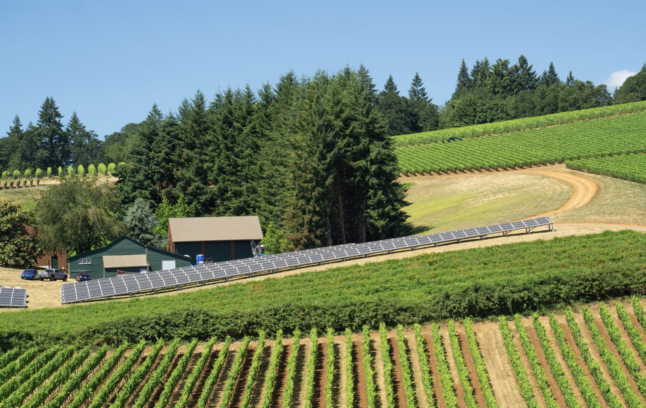 solar panels at a beautiful winery 2022 11 16 00 05 15 utc