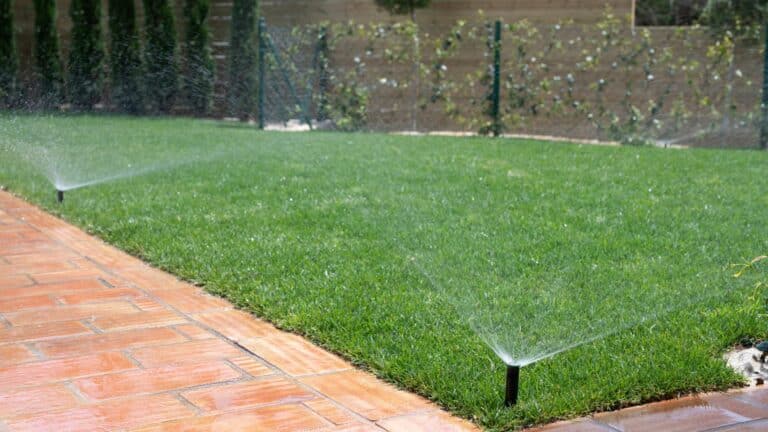 arosage automatique jardin