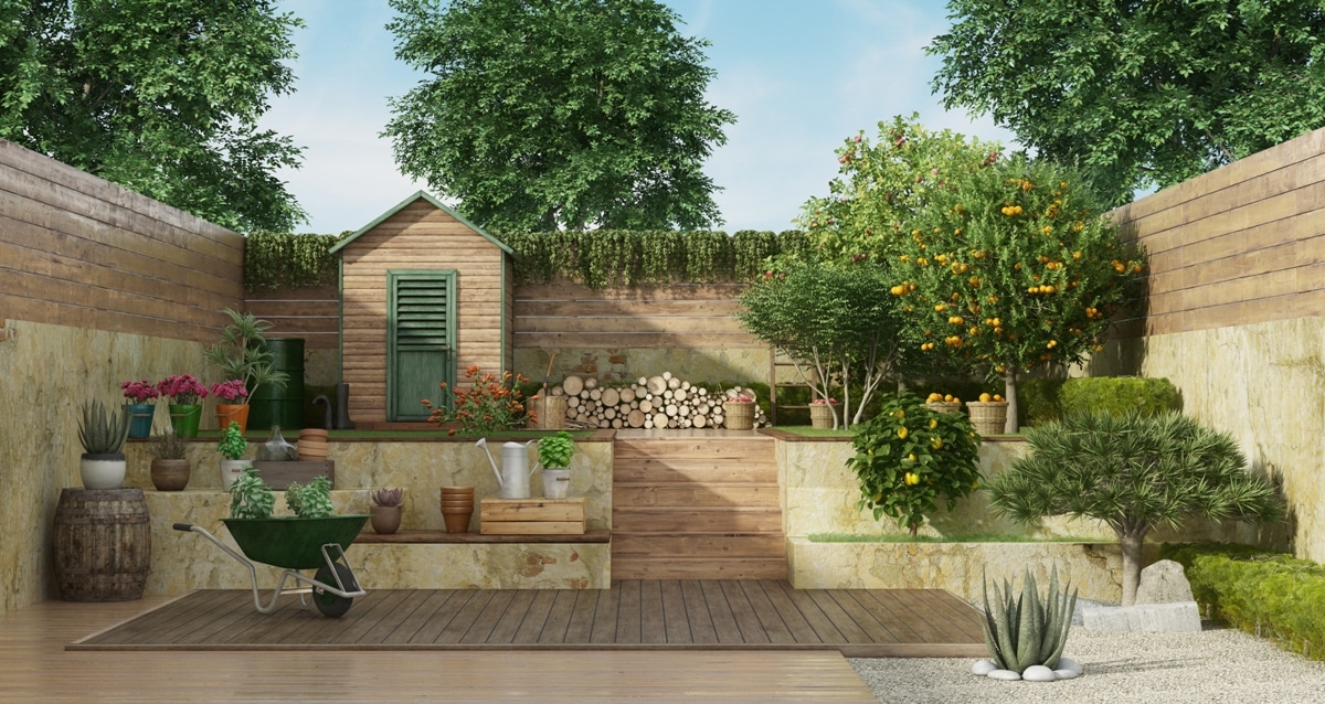 garden with gardening tools , wooden shed and fruit tree 3d rendering