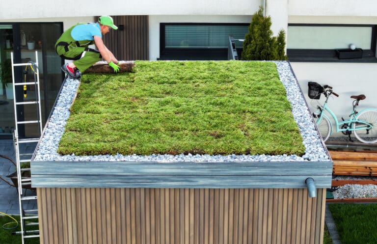 professional landscaper finishing sedum green roof installation