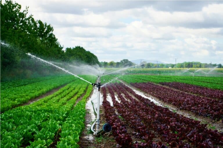 sprinkler of irrigation system at field 2022 12 16 12 48 30 utc