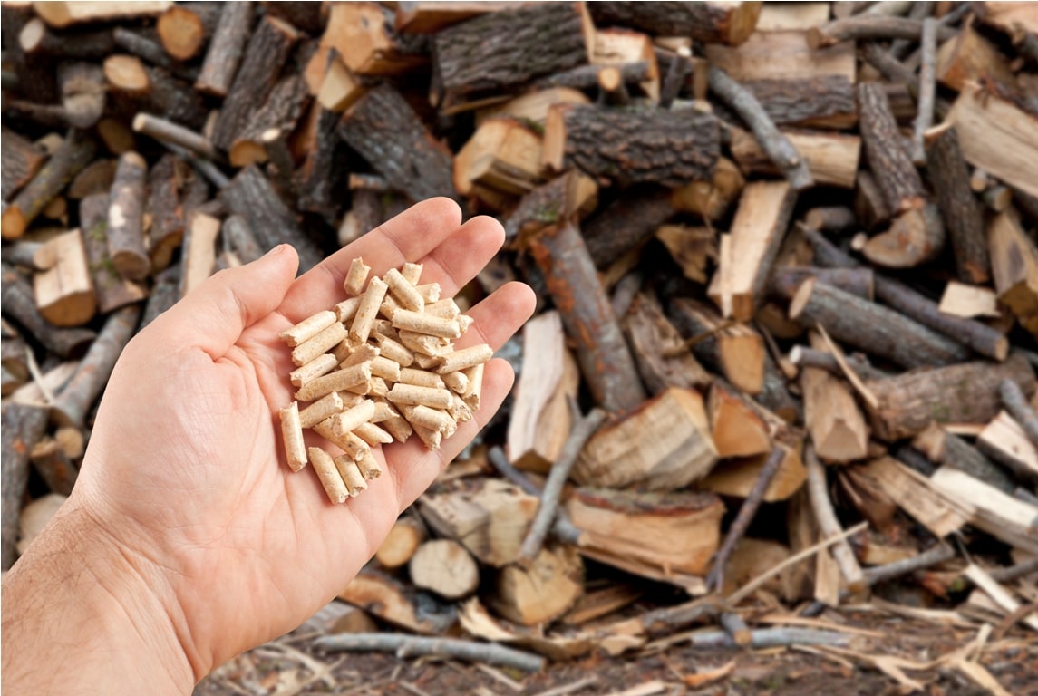 wood pellets in hand