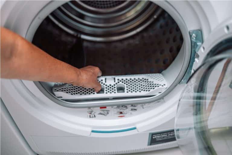 dust and dirt trapped by the clothes dryer filter.