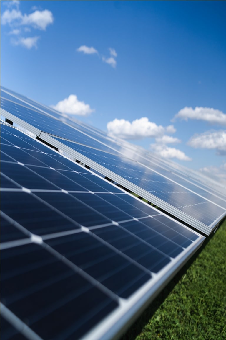 solar panels on a farm