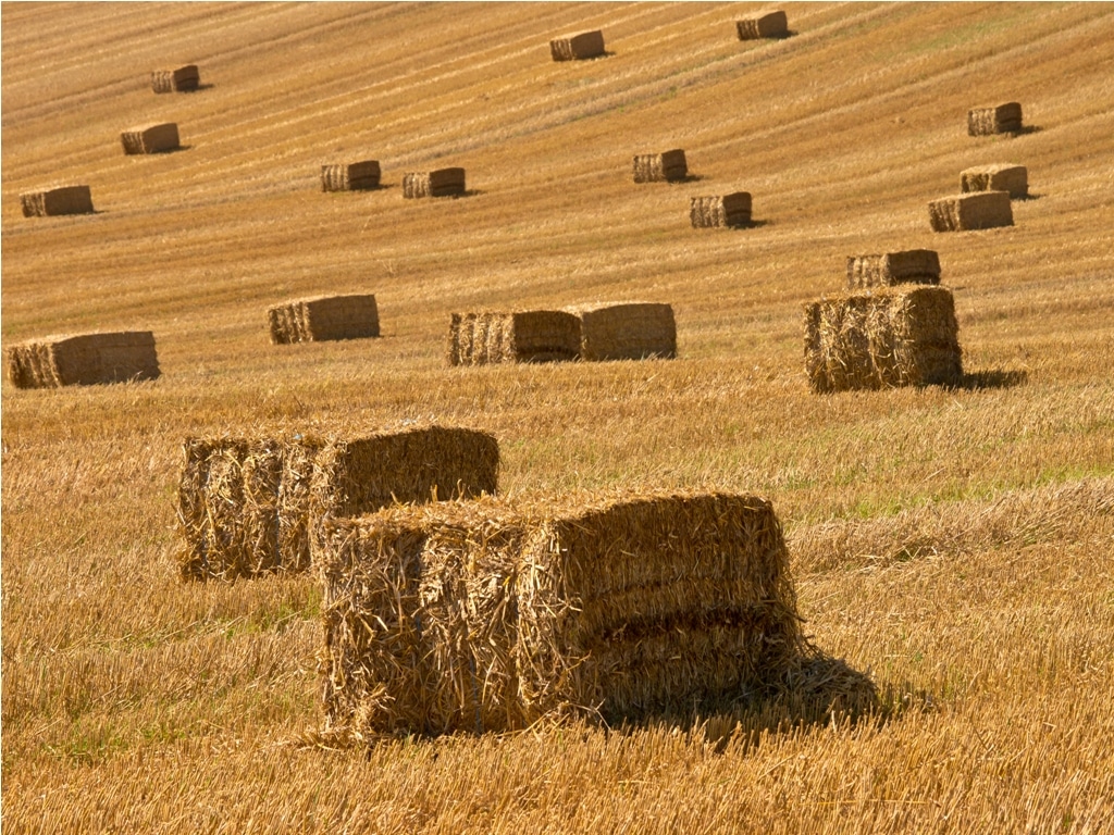 straw bales background